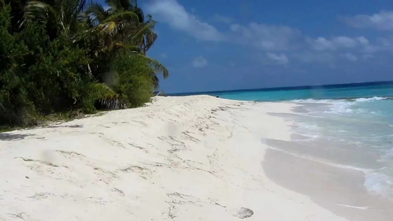 Conhecer Cayo El Acuario e Cayo Bolivar em San Andrés