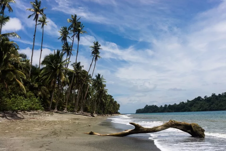 A deserted beach in Gorgona National Park, an island 21 miles off Colombia's Pacific coast.